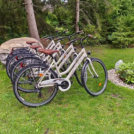 Saare Paadikuela * Veskikuela