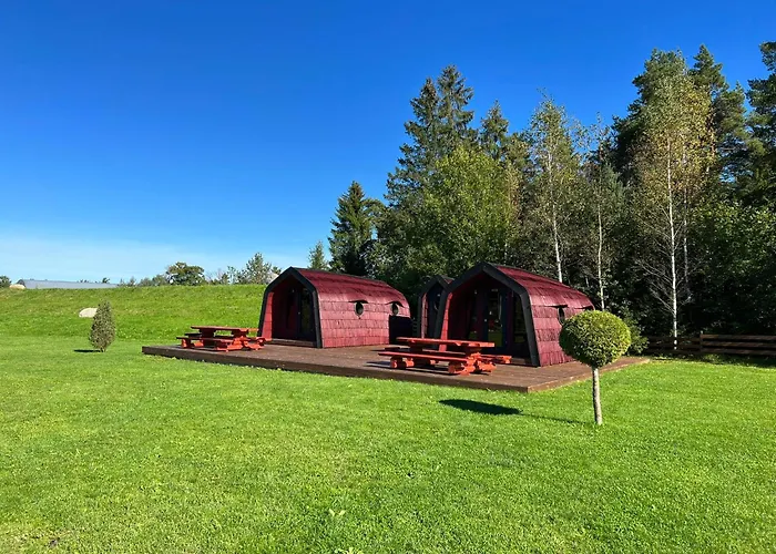 Kemp Saare Paadikuela *