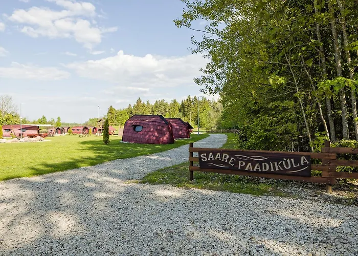 Saare Paadikuela Kemp *