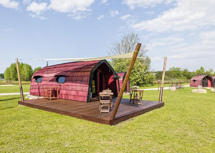 Saare Paadikuela Kemp *