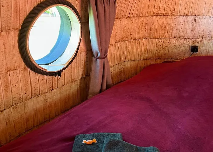 Saare Paadikuela Kemp