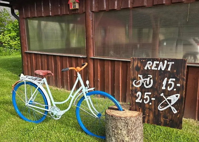 Saare Paadikuela Kemp *