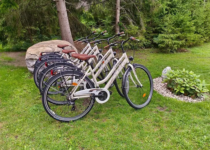 Saare Paadikuela * Veskikuela