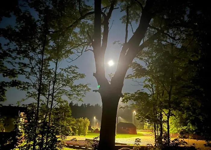 Saare Paadikuela 营地