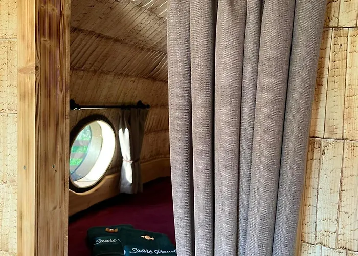 Saare Paadikuela Kemp *